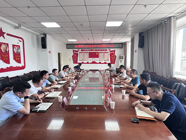 特色产业发展工作委员会在南江进行项目考察与调研